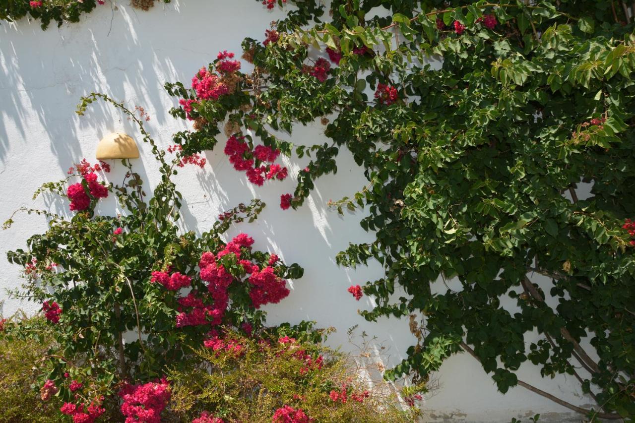 Apartamentos Cintra Do Vale Vila Nova de Milfontes Zewnętrze zdjęcie